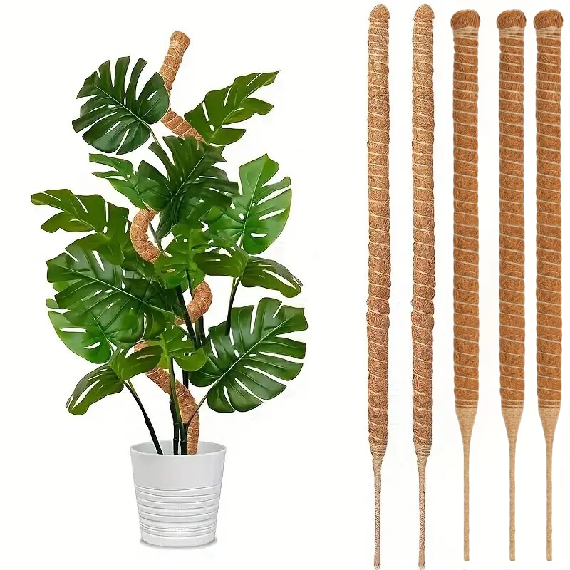 Monstera Thai Constellation - Palo di supporto pieghevole per piante