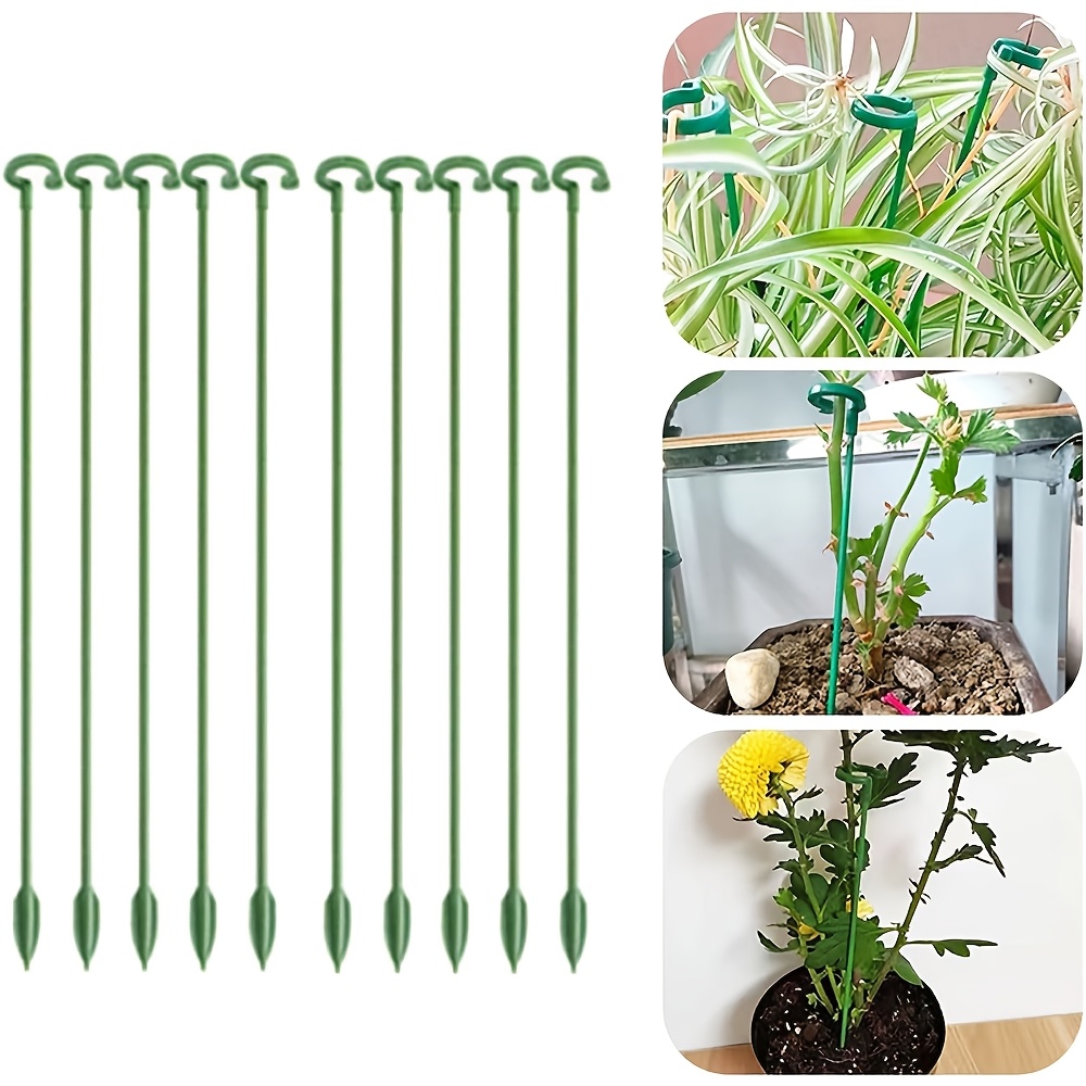 Monstera Thai Constellation - 5/10PCS Pianta Supporti Stand Farfalle Orchidea