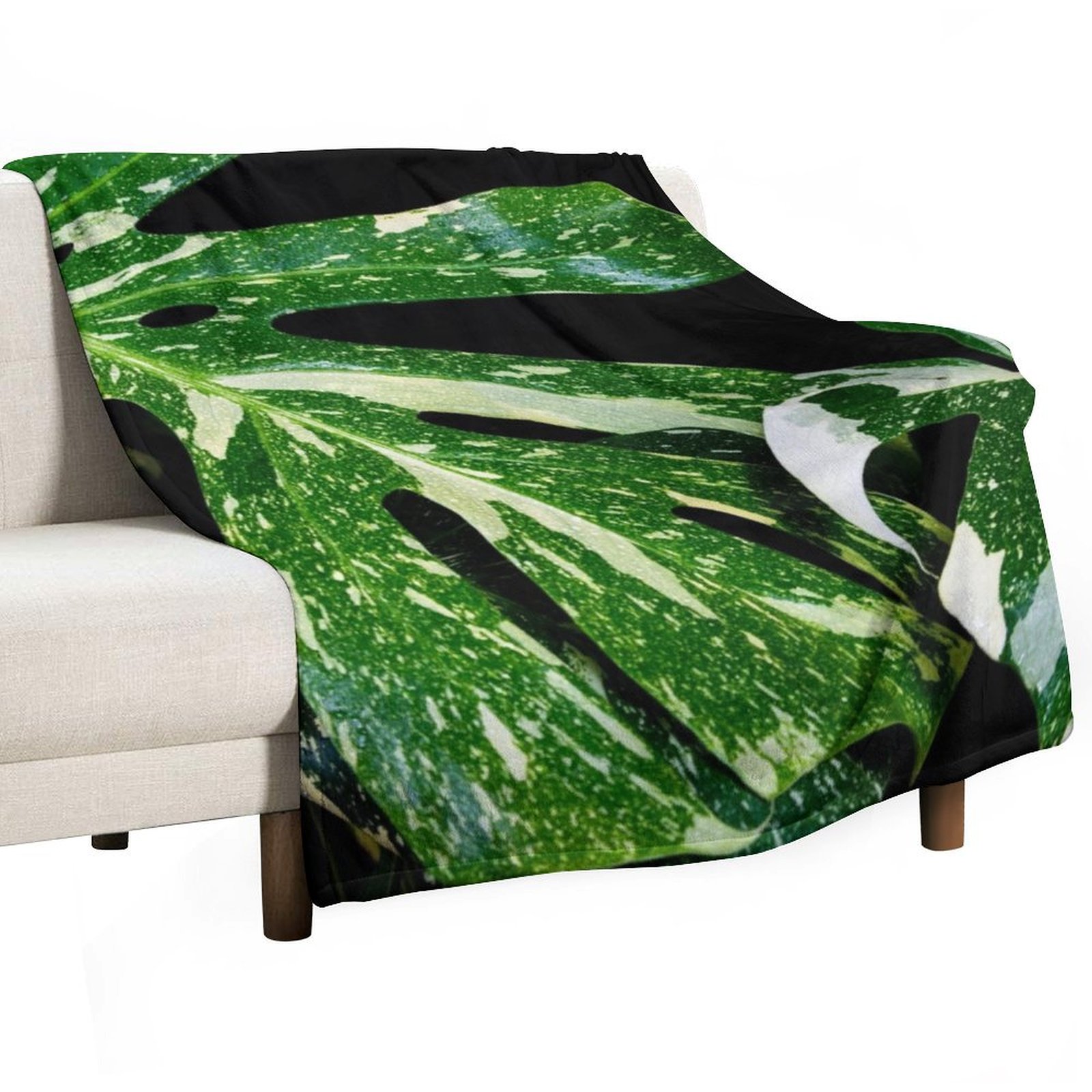Coperta Monstera Thai Constell - Monstera Thai Constellation recensione e prezzo