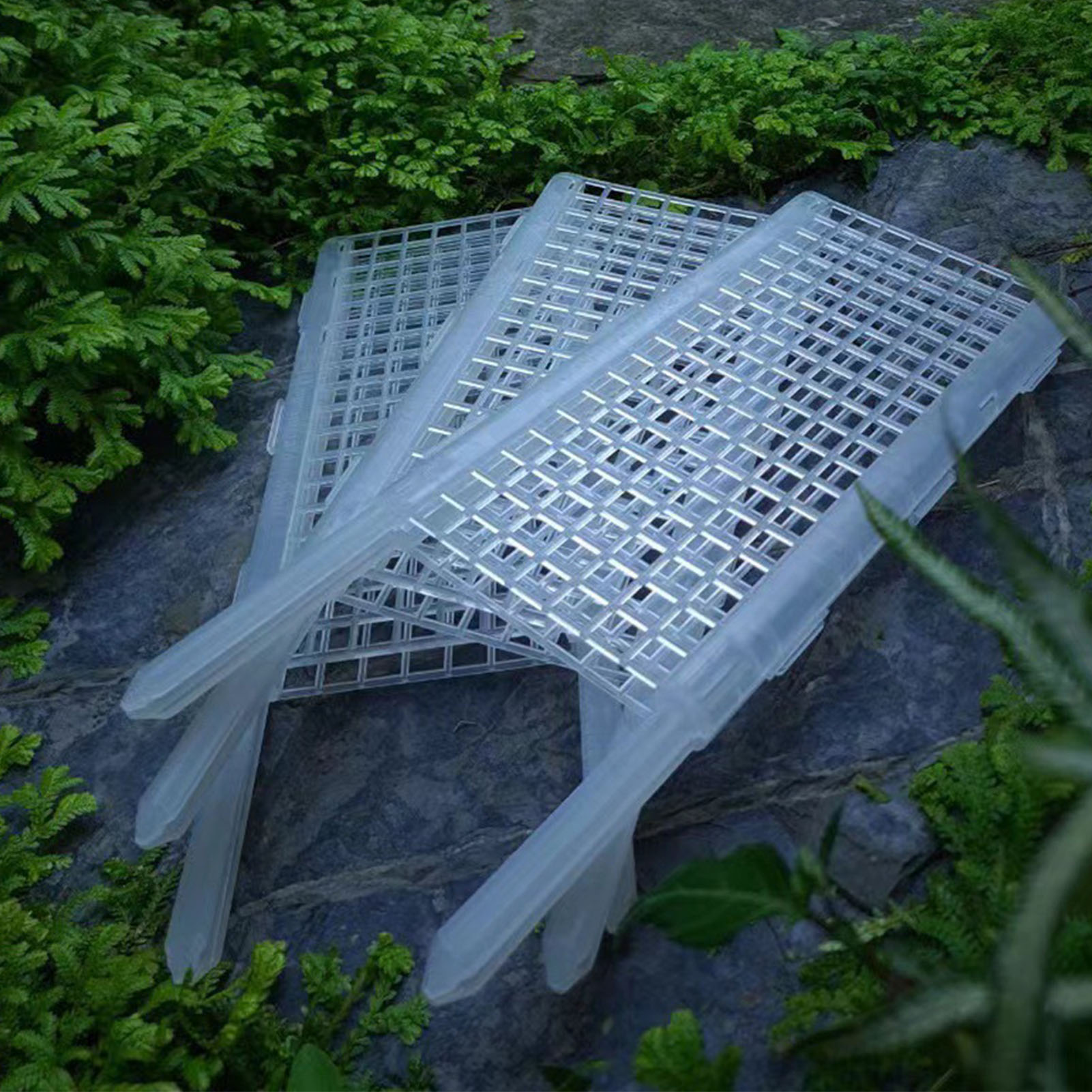 Palo di muschio di plastica pe - Monstera Thai Constellation recensione e prezzo