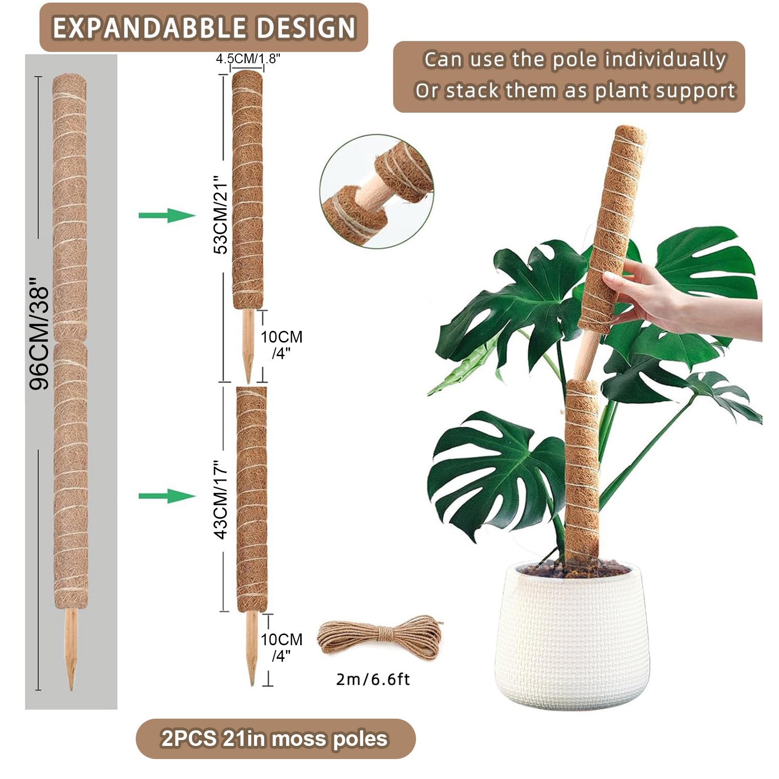 Palo di muschio 38/43/53CM Sup - Monstera Thai Constellation recensione e prezzo