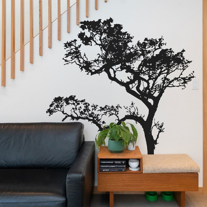 Grande albero di quercia adesi - Monstera Thai Constellation recensione e prezzo