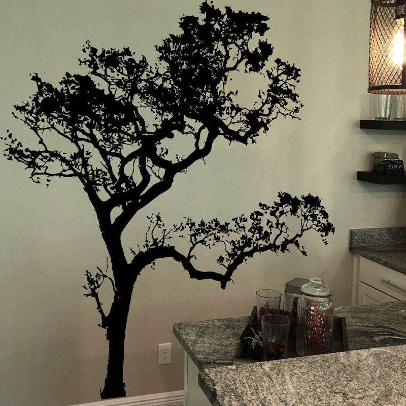 Grande albero di quercia adesi - Monstera Thai Constellation recensione e prezzo