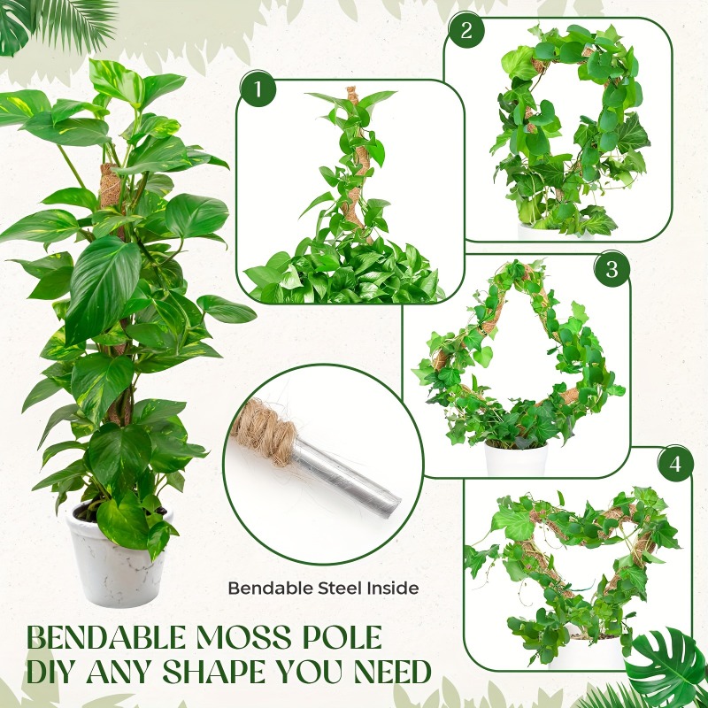 Palo di supporto pieghevole pe - Monstera Thai Constellation recensione e prezzo