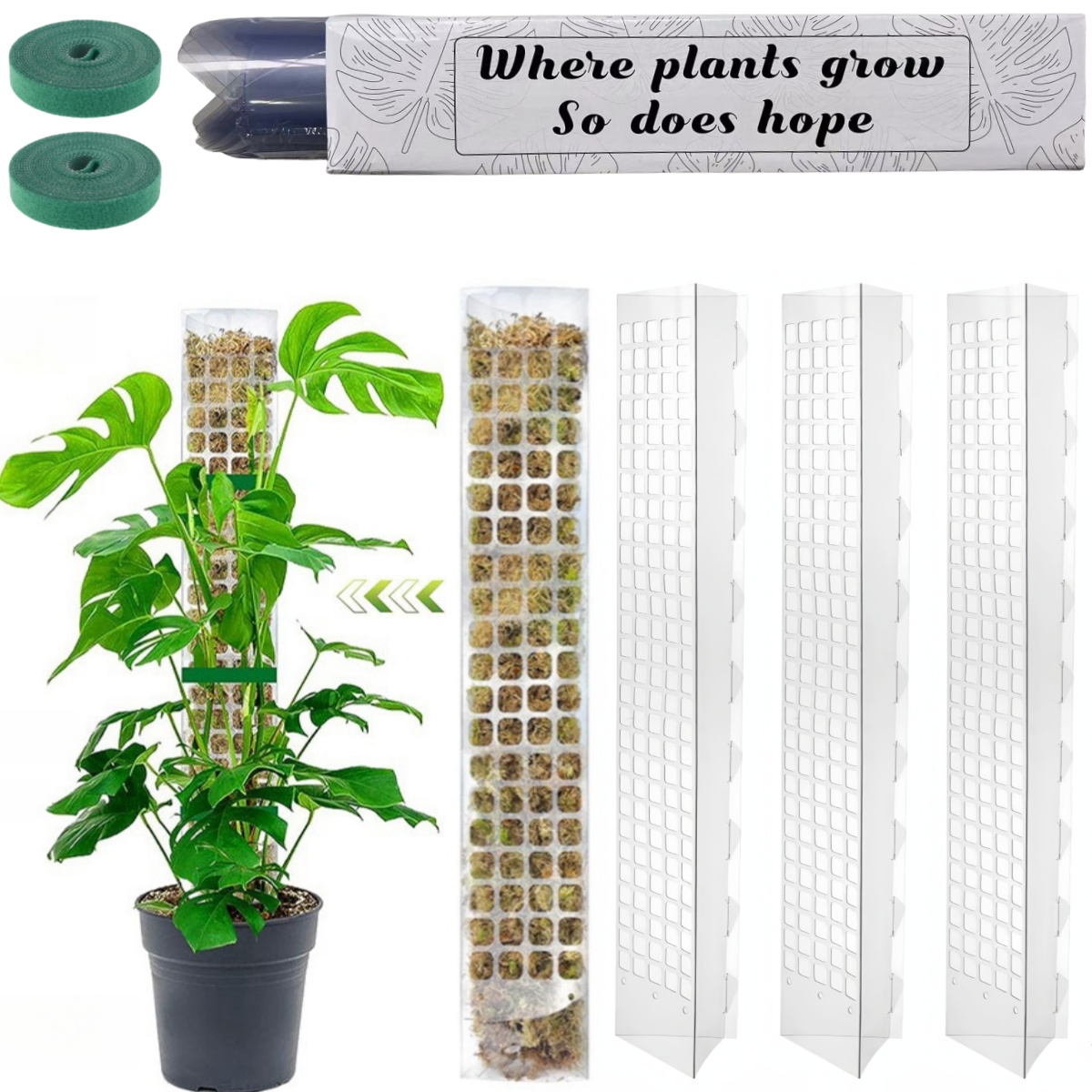 Supporto per piante in plastic - Monstera Thai Constellation recensione e prezzo