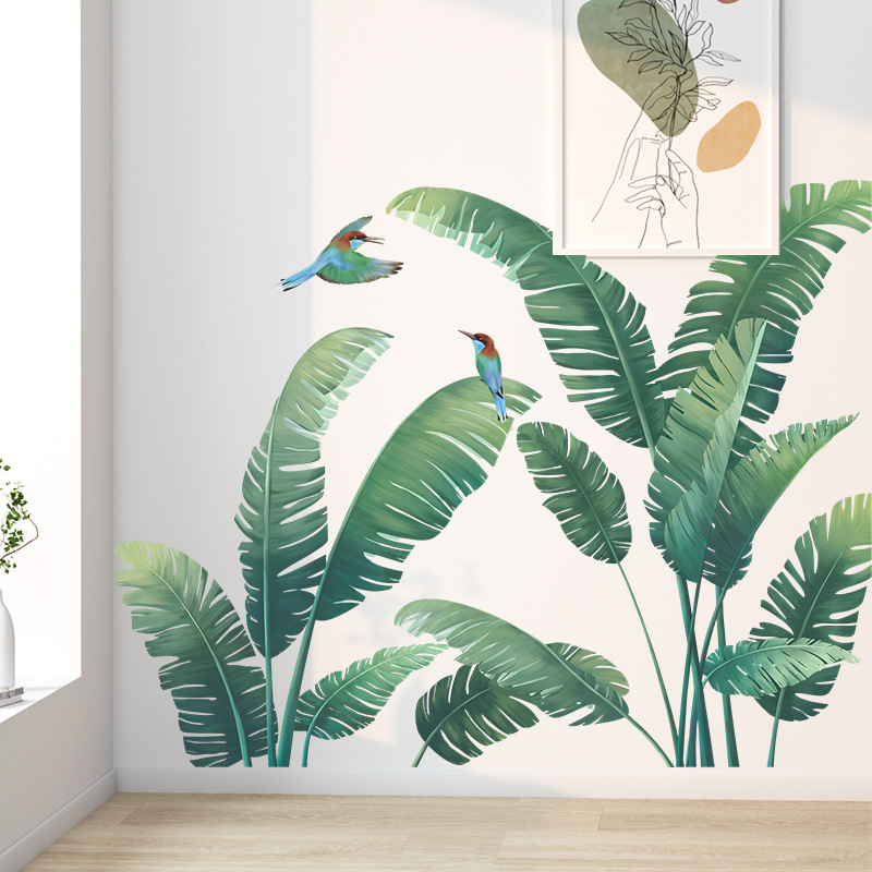 Pianta tropicale Foglia di ban - Monstera Thai Constellation recensione e prezzo