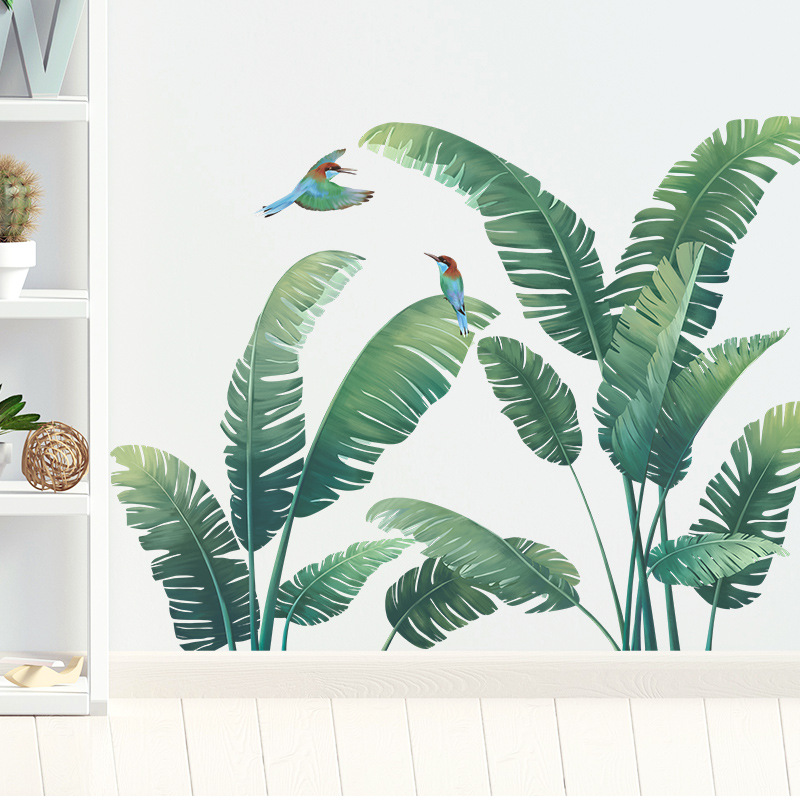 Pianta tropicale Foglia di ban - Monstera Thai Constellation recensione e prezzo