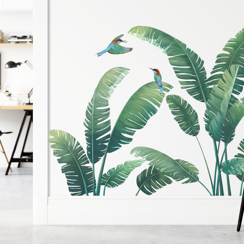 Pianta tropicale Foglia di ban - Monstera Thai Constellation recensione e prezzo