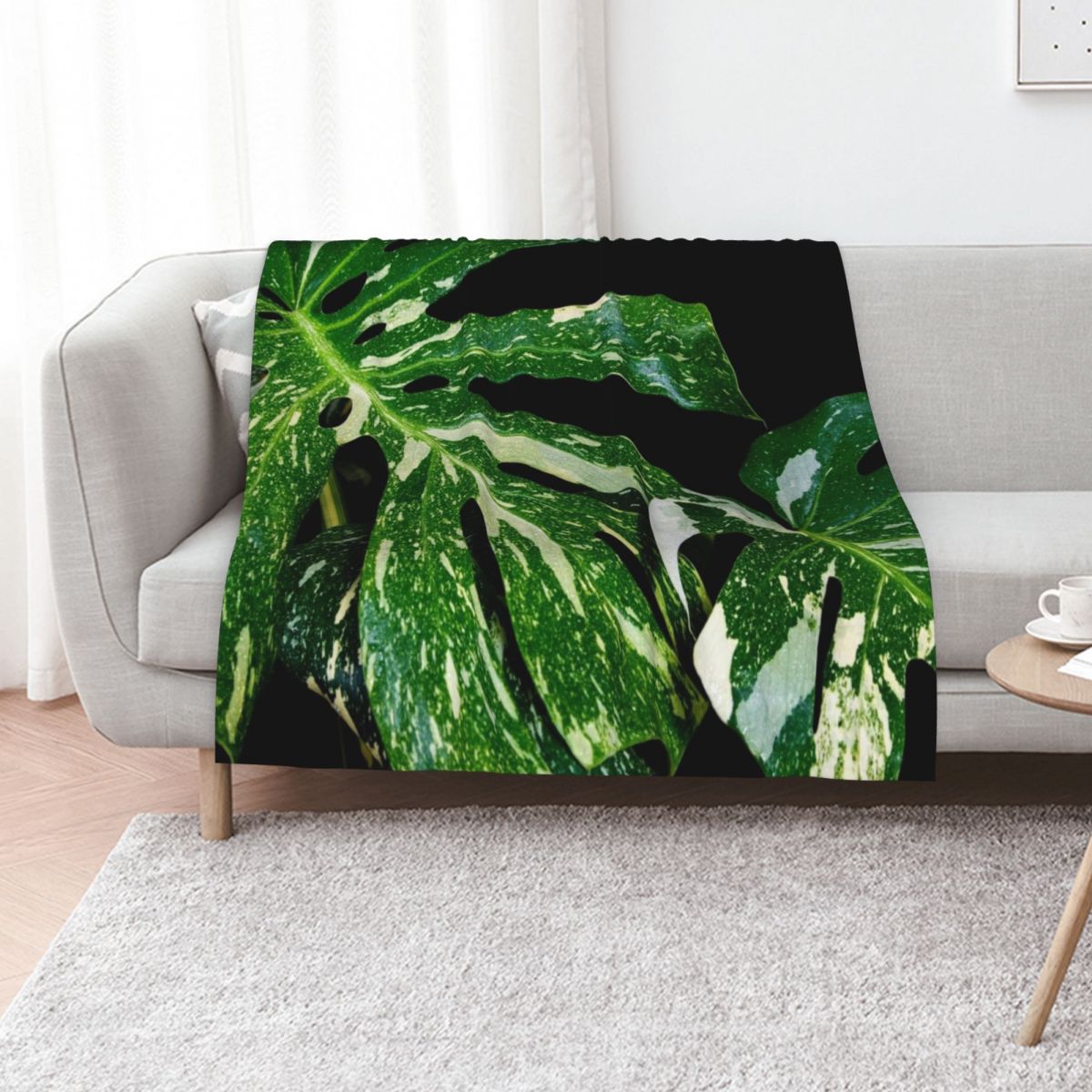 Coperta Monstera Thai Constell - Monstera Thai Constellation recensione e prezzo