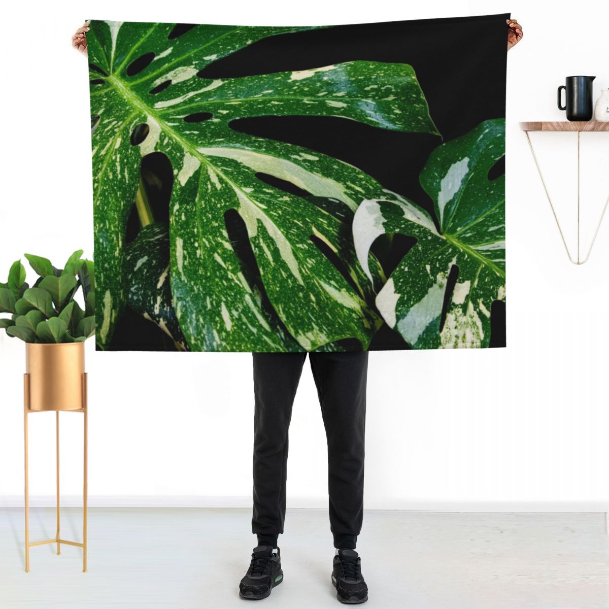 Coperta Monstera Thai Constell - Monstera Thai Constellation recensione e prezzo