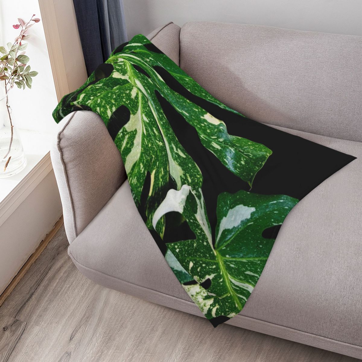 Coperta Monstera Thai Constell - Monstera Thai Constellation recensione e prezzo