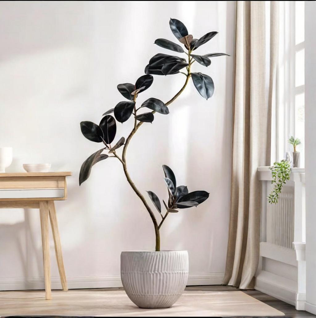 Pianta in vaso di plastica art - Rubber Plant Ficus recensione e prezzo