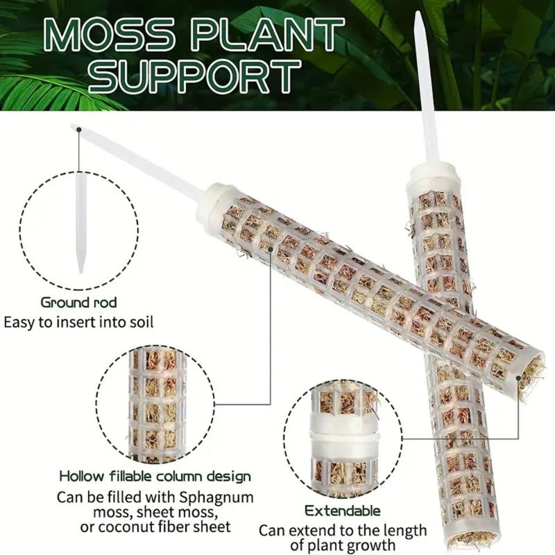Supporto per Piante Rampicanti - Monstera Thai Constellation recensione e prezzo