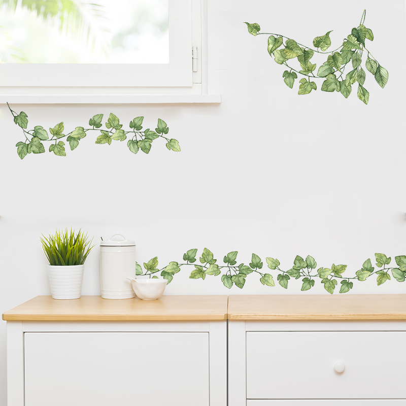 1 pz piccole foglie verdi fres - Monstera Thai Constellation recensione e prezzo